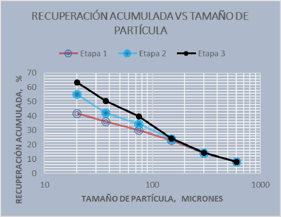 imagen6